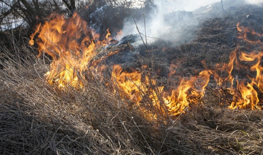 На всей территории Липецкого муниципального района вводится особый противопожарный режим на период с 1 по 31 октября 2020 года